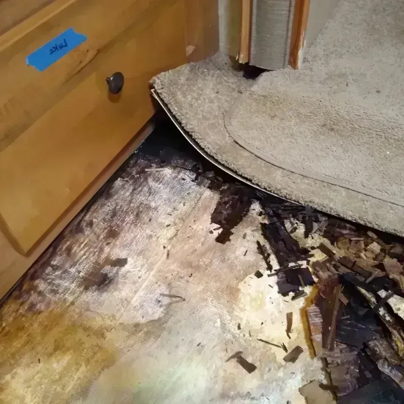 Wood Floor Water Damage in Wyoming, PA